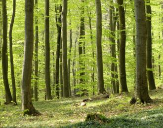 0904wienerwald044.jpg